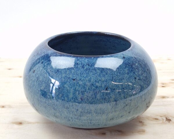 Blauwe vinvis